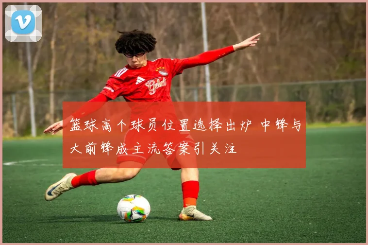 篮球高个球员位置选择出炉 中锋与大前锋成主流答案引关注